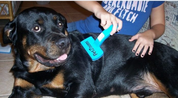 Гребінець для собак та кішок Petzoom Self Cleaning