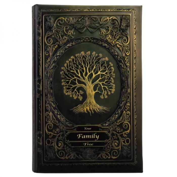 Книга сейф із замком Family Tree 26 см